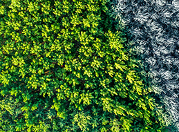 Third Quarter 2023 Quarterly Macro Themes - Featured Perspectives
