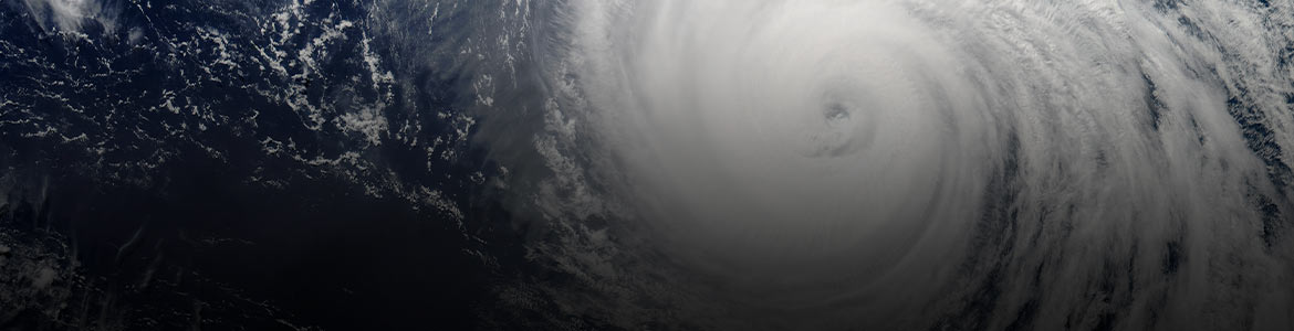 In the Eye of the Storm - Title Image