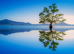Credit Yields Look Attractive Despite Rising Recession Risks - Image Thumbnail