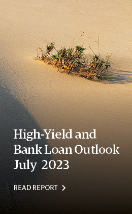 High Yield and Bank Loans