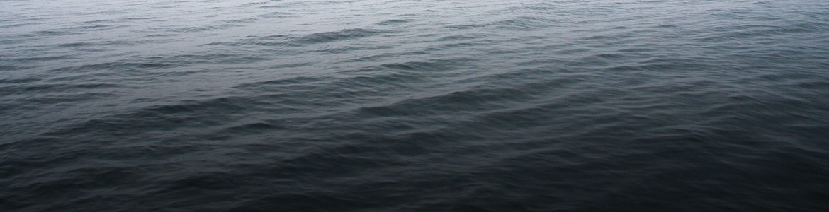 Complacency in Uncharted Waters - Title Image