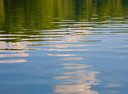 Use This 'Goldilocks Market' to Prepare for Its Eventual End - Featured Perspectives