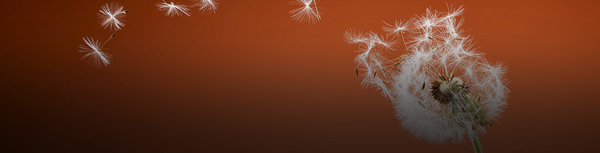 The Transition Away from Libor - Title Image
