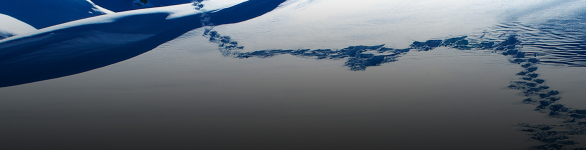 A Drunk Man in the Snow: The Random Walk of Interest Rates - Title Image