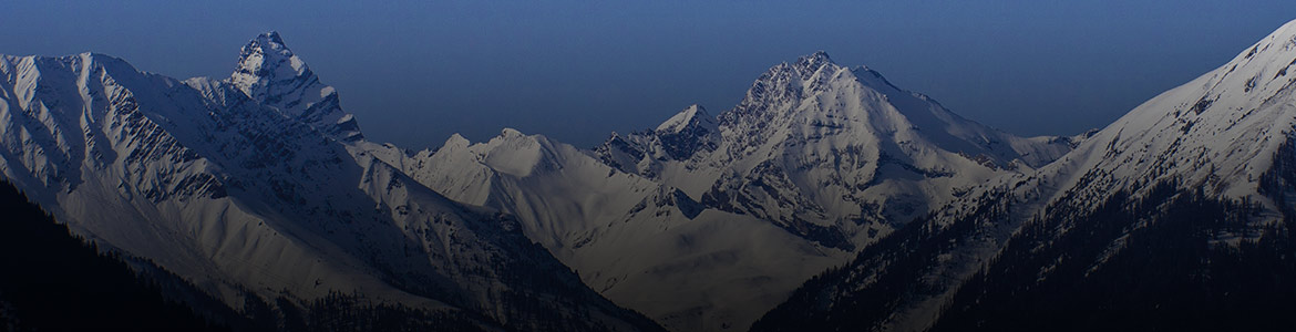 Davos as Contra-Indicator - Title Image