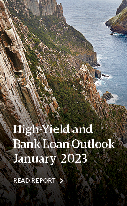 High Yield and Bank Loans