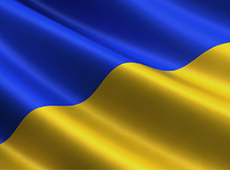 Specialized Teams Evaluate War in Ukraine - Image Thumbnail