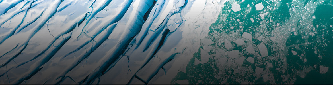 Concerned About Climate Change? 6 Ways for Insurers to Future-Proof Their Portfolios - Title Image